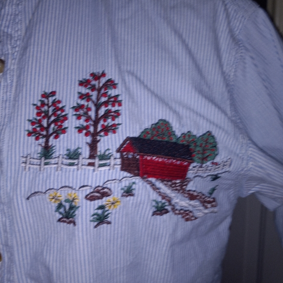 Vintage pinstripe Barns and Chickens button down - Picture 2 of 5